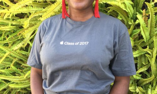 33% of students have a 3.2 – 3.6 GPA